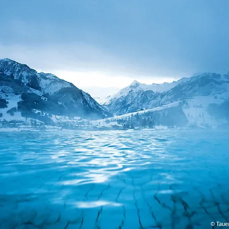 Sunshine 12 By Interhome Apartmán Zell am See